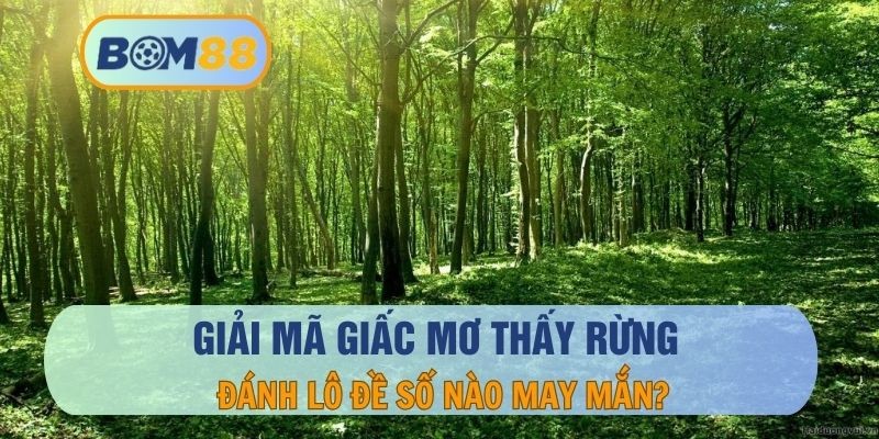 BOM88 Giải mã giấc mơ thấy rừng - Truy tìm các con số may mắn tại BOM88