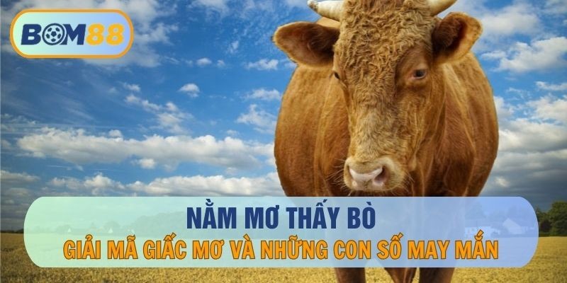 BOM88 Nằm Mơ Thấy Bò Nên Đánh Con Nào Dễ Thắng ? - Giải Mã Giấc Mơ Tại BOM88