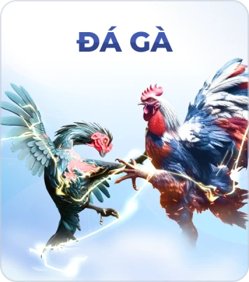 BOM88 Đá gà